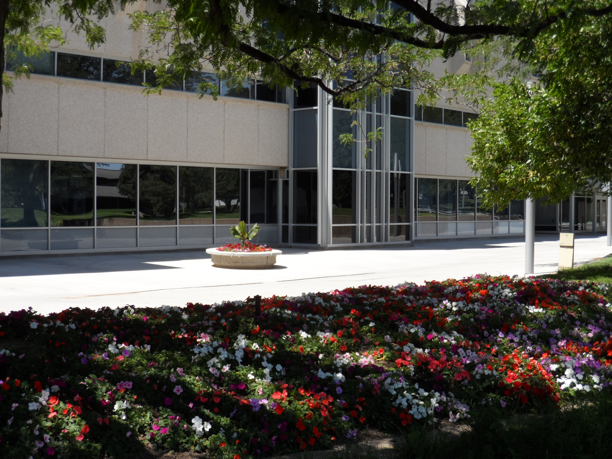 Resources related to the 2025 federal administration actions